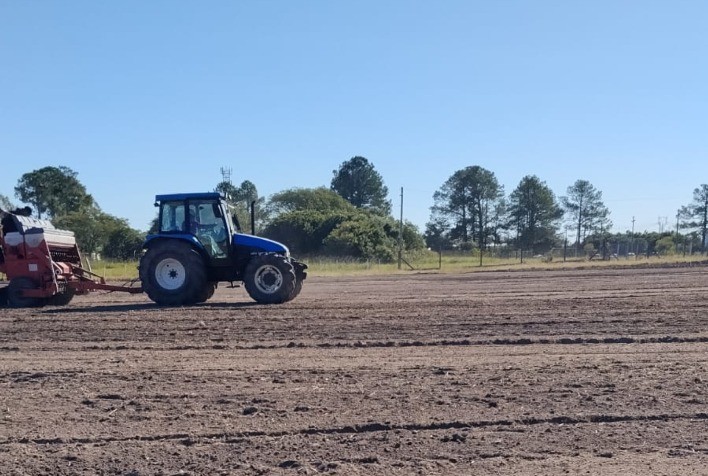 Abertura da Colheita do Arroz 2027: áreas experimentais no RS entram em fase de preparo com forrageiras de inverno