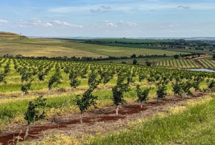 Integrada amplia produção de laranja no Paraná e fortalece cadeia industrial de sucos
