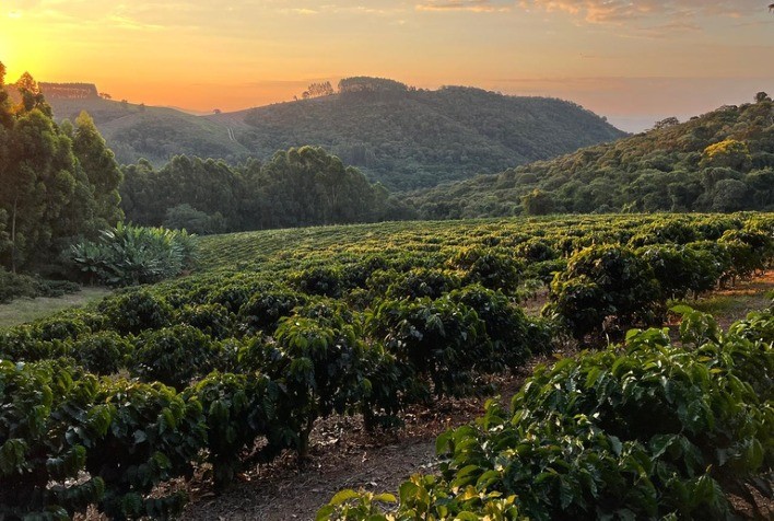 Circuito das Águas Paulista conquista Indicação Geográfica do café e reforça posição da Serra da Mantiqueira na produção de cafés especiais