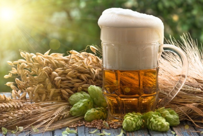 Cervejarias se concentram no Sul e Sudeste, enquanto produção de cevada avança como desafio estratégico para o Brasil