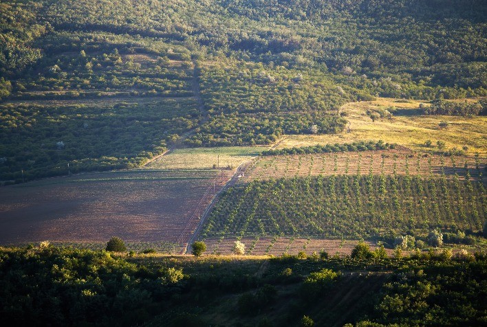 El Niño acende alerta no campo: produtores devem reforçar planejamento financeiro e proteção jurídica