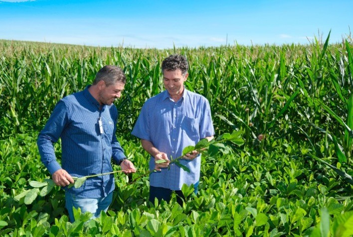 Agricultura de precisão e manejo de solo ajudam produtores a reduzir perdas climáticas e aumentar estabilidade da soja e do milho