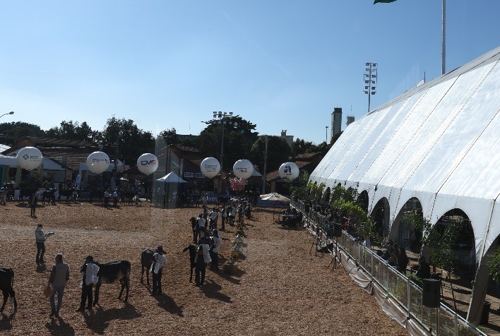 Megaleite 2026 bate recordes de público, negócios e produção leiteira em Belo Horizonte