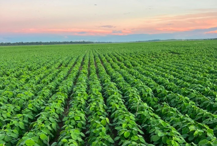 Rastreamento no Agro: avanço necessário ou barreira comercial disfarçada? Debate ganha força no mercado global