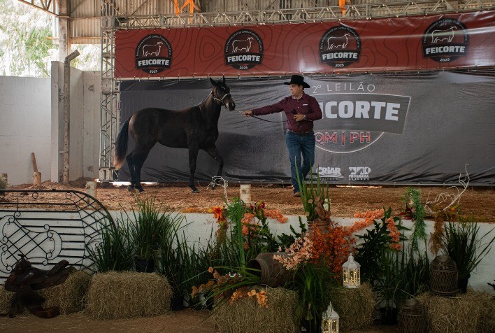 Feicorte 2026 terá grandes leilões de genética bovina, equina e ovina e ação solidária no agronegócio