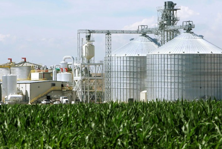 Mato Grosso adia para 2035 o fim do uso de biomassa nativa e amplia metas de reflorestamento