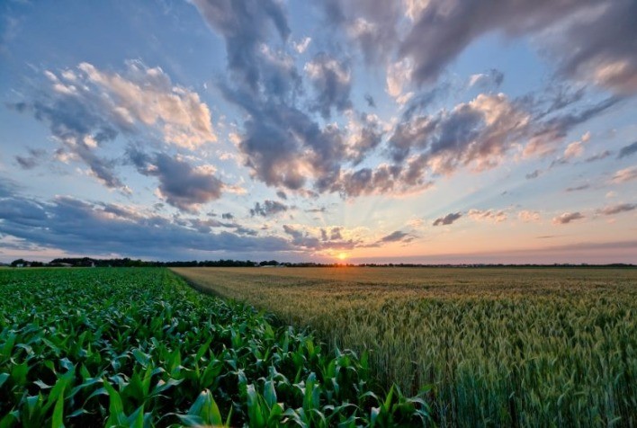 El Niño em 2026 deve aumentar pressão de pragas e reforça uso de controle biológico no agronegócio