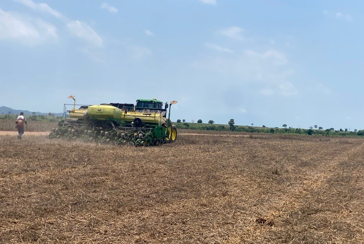 Soja no Tocantins: Fazenda de cooperado da Castrolanda atinge 76 sacas por hectare na safra 2025/26