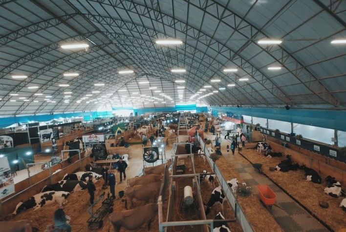 Agroleite 2026 abre inscrições para animais das raças Holandesa e Jersey em Castro (PR)