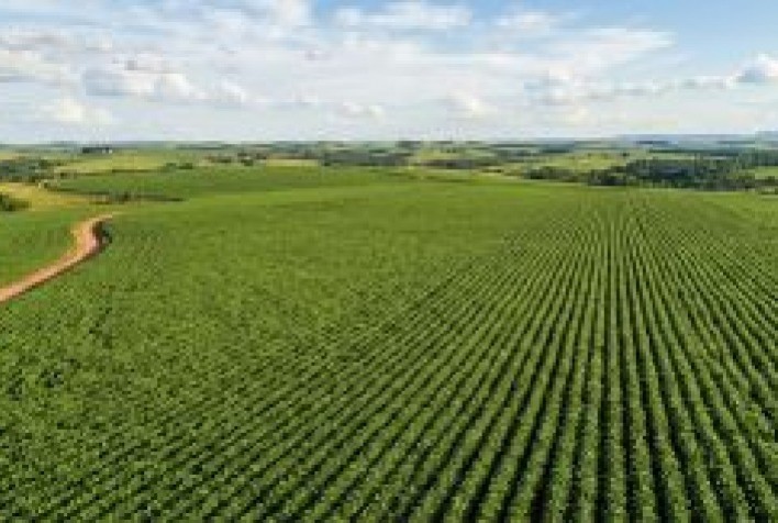 Monitoramento via satélite passa a ser exigência para exportações do agronegócio brasileiro