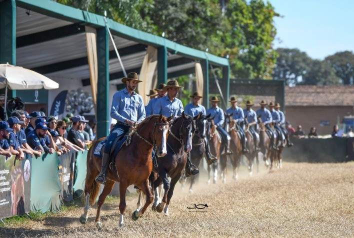 Exposição Nacional do Cavalo Mangalarga 2026 reúne criadores, provas e negócios em Tatuí (SP)