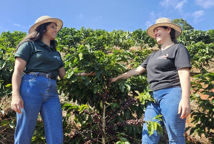 Cafés especiais impulsionam renda da agricultura familiar em Minas Gerais e fortalecem marcas próprias