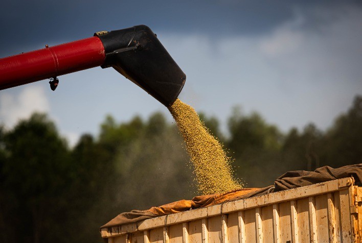 Soja sobe na Bolsa de Chicago, mercado físico reage no Brasil e produtores seguem atentos ao crédito rural