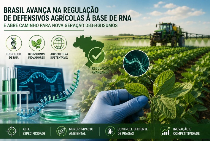 Brasil avança na regulação de defensivos agrícolas à base de RNA e abre caminho para nova geração de bioinsumos