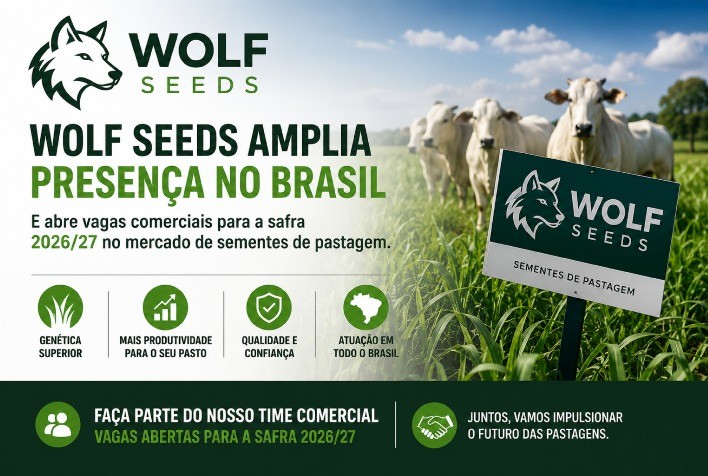 Wolf Seeds amplia presença no Brasil e abre vagas comerciais para a safra 2026/27 no mercado de sementes de pastagem