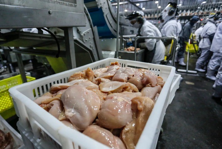 Produção de carne de frango no Brasil deve atingir 15,945 milhões de toneladas em 2027, projeta Safras & Mercado