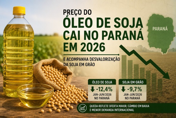 Preço do óleo de soja cai no Paraná em 2026 e acompanha desvalorização da soja em grão