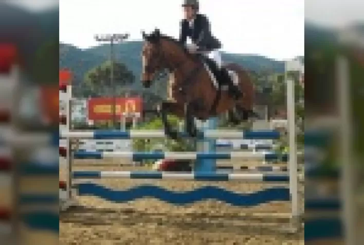 Nutrição do cavalo atleta
