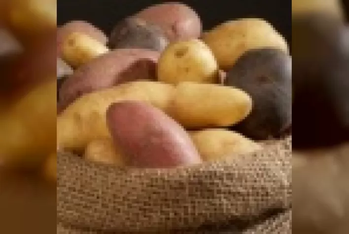 Recursos genéticos de batata nativos do Brasil: fonte de genes para mitigar os impactos negativos do aquecimento global