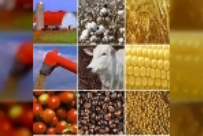 Retrospectiva 2013 e o Agro