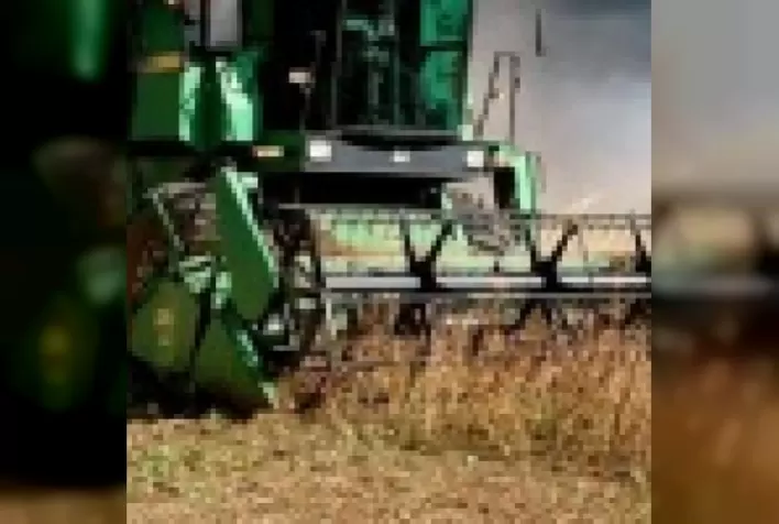 Produtividade agrícola é desafio para as empresas brasileiras