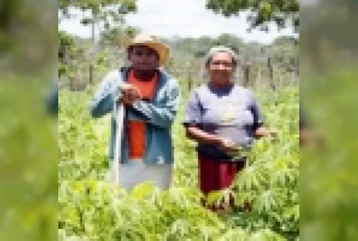 Fortalecimento da Agricultura Familiar