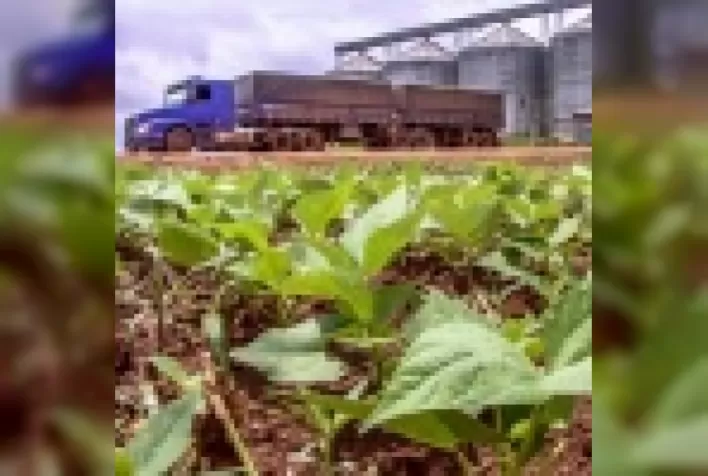 Agronegócio: Como nosso setor ajuda a mover o Brasil