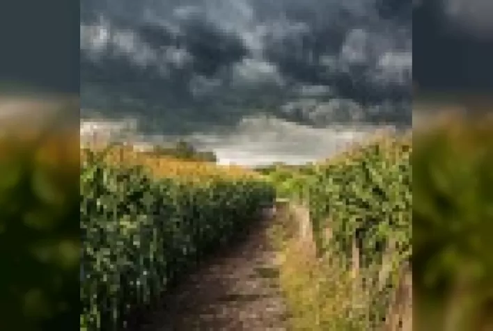Ação contra a Mudança Global do Clima