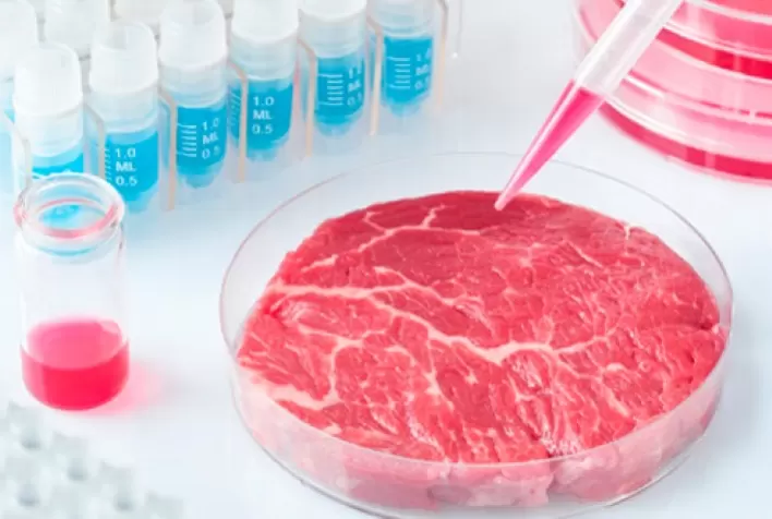 Carne cultivada em laboratório: o futuro da produção de carne?