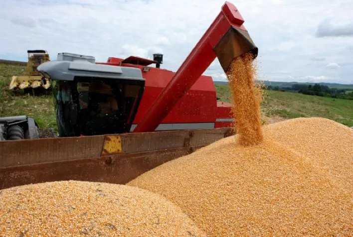 Desempenho da agricultura brasileira durante o primeiro ano da Covid-19
