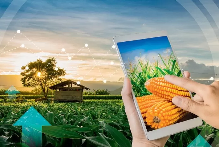 O impacto da tecnologia no agronegócio e os desafios para 2021