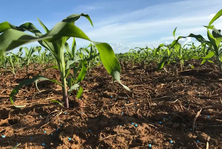 Como evitar as perdas de produtividade no inverno?