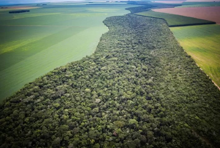 Breves Considerações Sobre As Área de Reserva Legal
