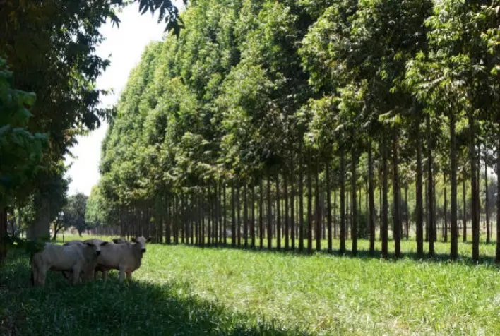 Os grandes temas da moderna agricultura