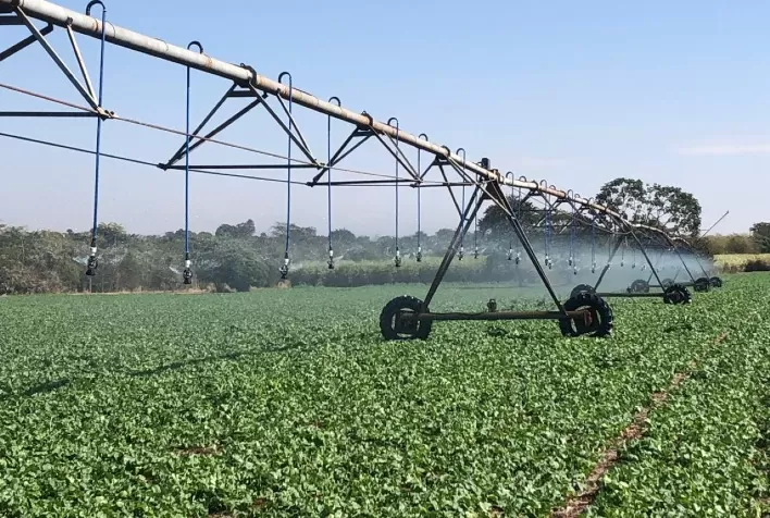 O caminho para a agricultura irrigada de alta eficiência em Mato Grosso do Sul