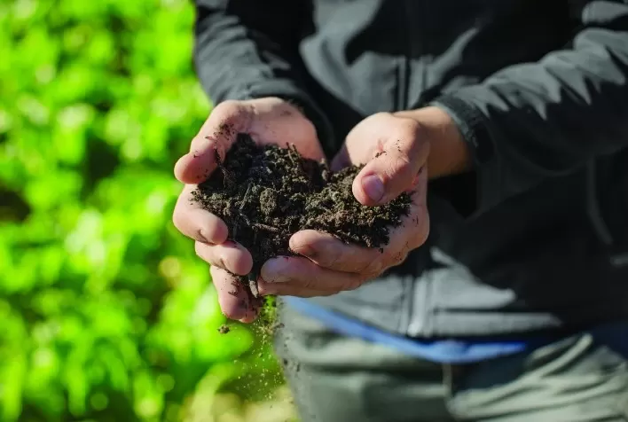 O futuro da agricultura é de baixo carbono e sustentável