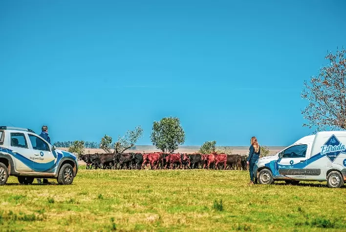 O papel da indústria no extensionismo rural