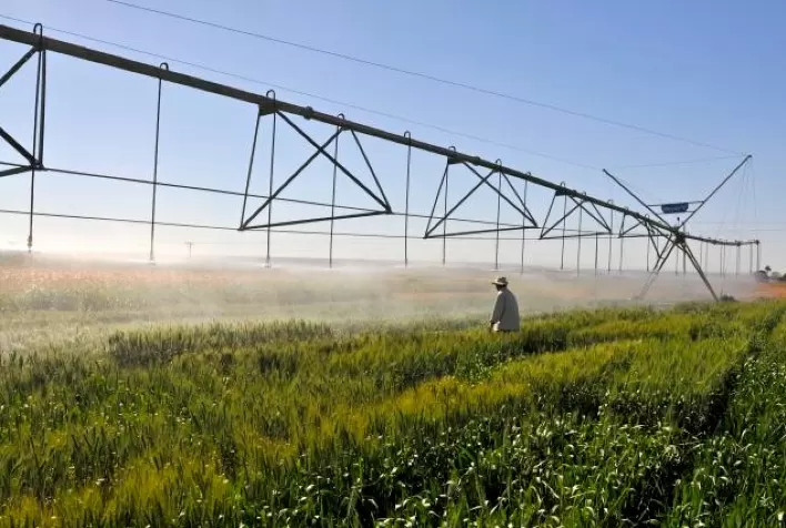 A importância da gestão de recursos hídricos e da agricultura irrigada no nexo água e alimento