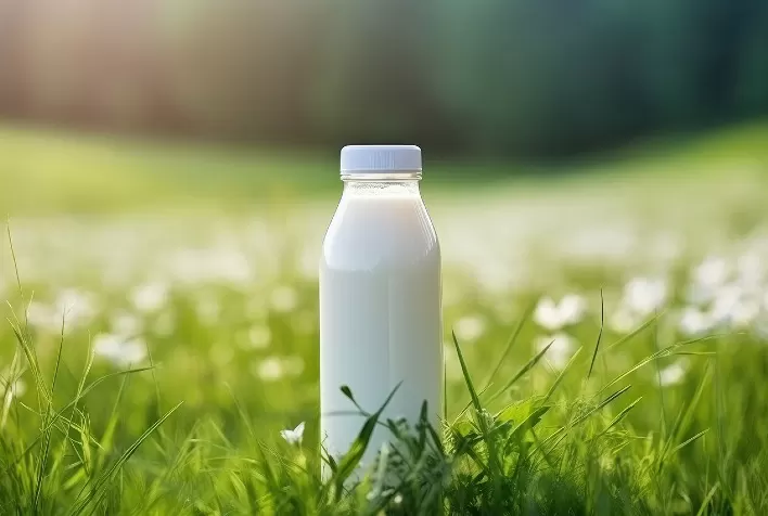 Leite orgânico: da produção ao consumo consciente