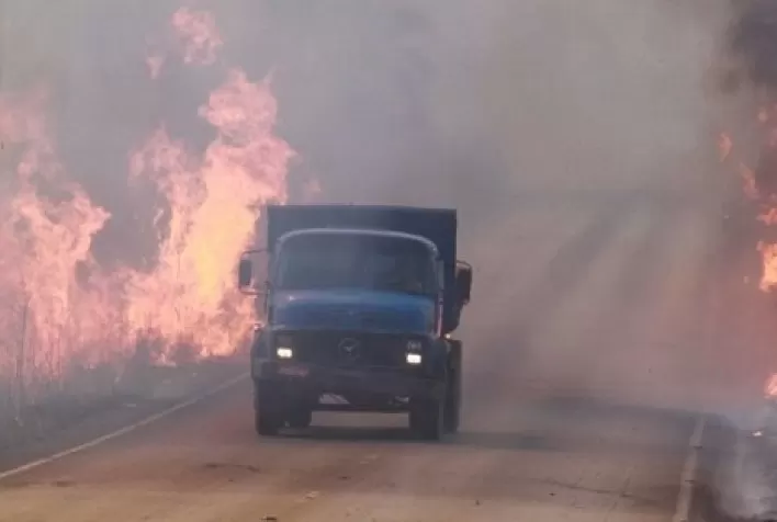 A agropecuária é uma aliada ao combate aos incêndios em áreas rurais e periurbanas