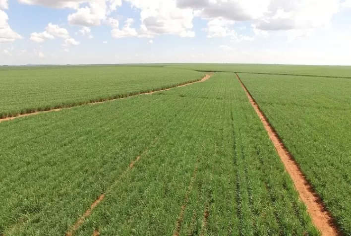 O manejo integrado de irrigação