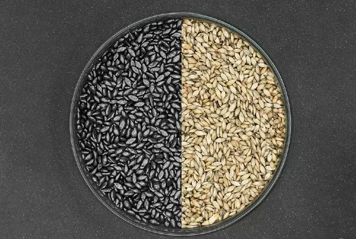 A importância da sanidade das sementes forrageiras e de cobertura na sustentabilidade da agricultura no brasil