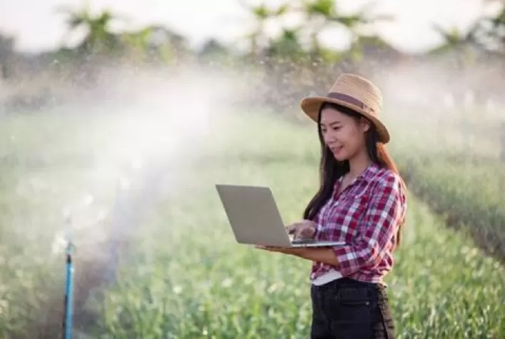 O potencial do Big Data para integrar a tecnologia no campo e alavancar o agro brasileiro