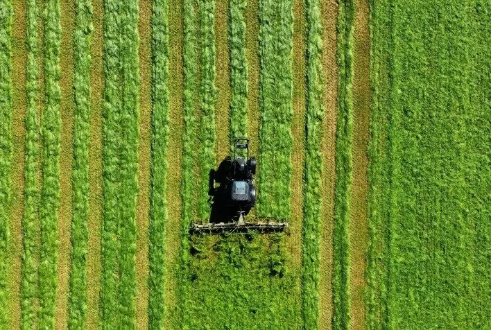 Prescrição intercorrente no agronegócio: o risco silencioso que pode inviabilizar a recuperação de crédito rural