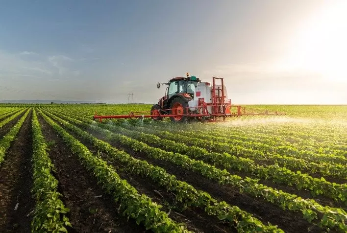 Uso intensivo de inseticidas ameaça polinizadores e reforça necessidade de boas práticas no campo