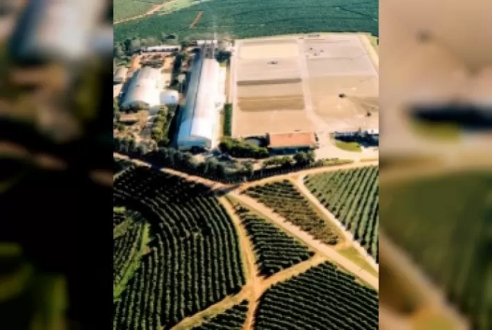 Brasil aprova norma para Produção Integrada do Café