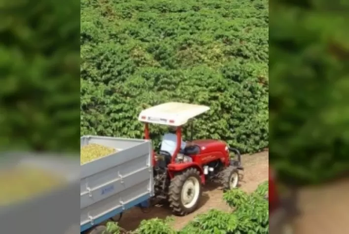 Fundação Procafé, em parceria com o Consórcio Pesquisa Café, contribui para a pesquisa e transferência de tecnologias no Sul de Minas Gerais