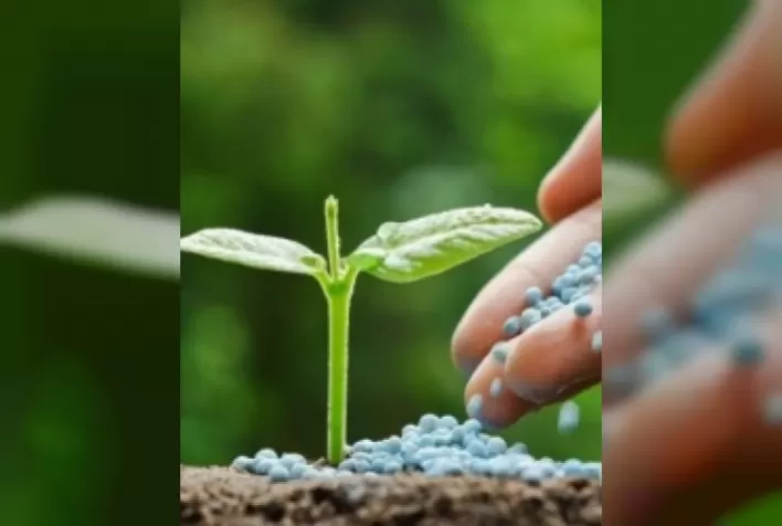 Mitos e verdades: como o cálcio e o magnésio agem sobre os alimentos e a importância de ambos para uma mesa saudável