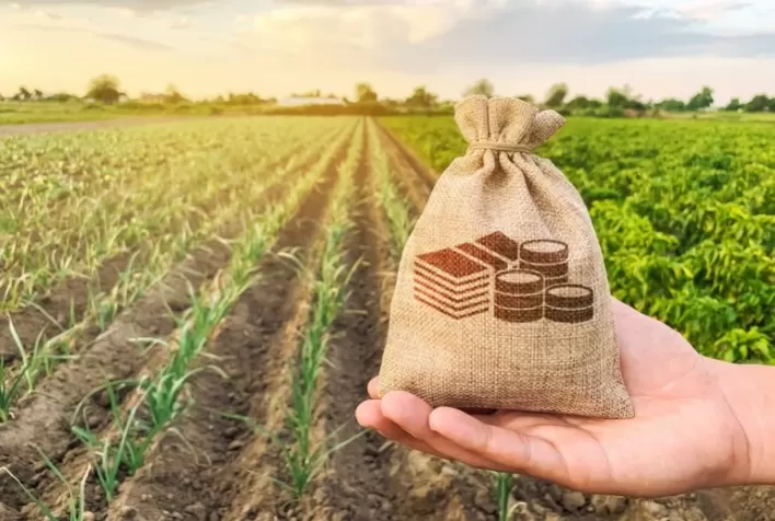 Fiagro já poderá ser constituído a partir de 1º de agosto