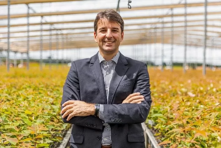 Setor florestal brasileiro aproveita COP30 para reforçar o reconhecimento global e a sustentabilidade
